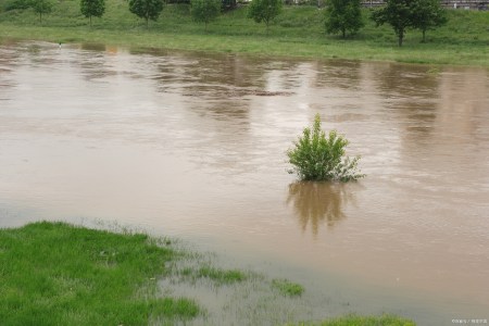 今年端午不一般，夏至和端午相逢，多年难得一遇，有啥说法和讲究-今年端午是什么时候啊