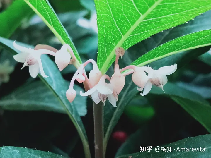端午节：六月十四日，2021年，365日，一日七话题-6.14端午节放假
