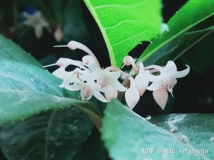 端午节：六月十四日，2021年，365日，一日七话题-6.14端午节放假