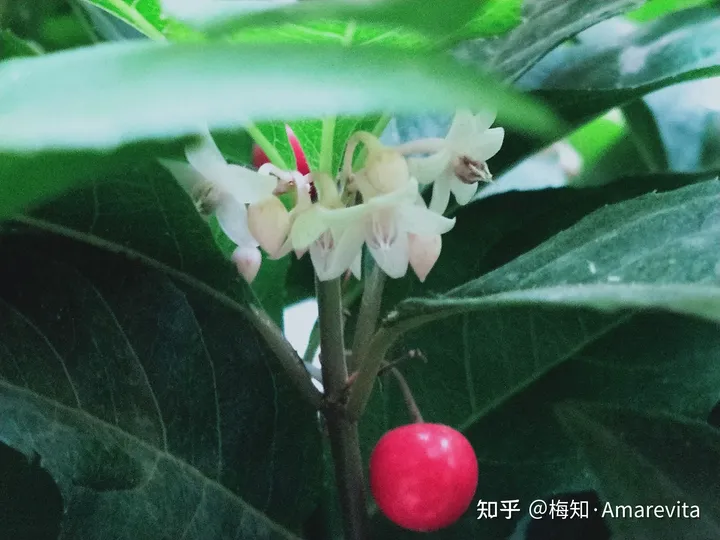 端午节：六月十四日，2021年，365日，一日七话题-6.14端午节放假