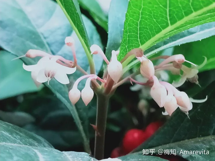 端午节：六月十四日，2021年，365日，一日七话题-6.14端午节放假