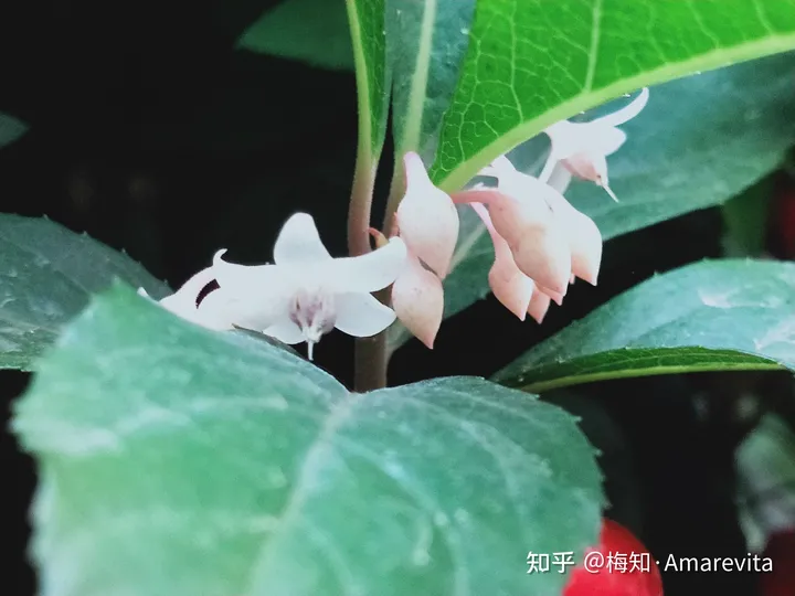 端午节：六月十四日，2021年，365日，一日七话题-6.14端午节放假