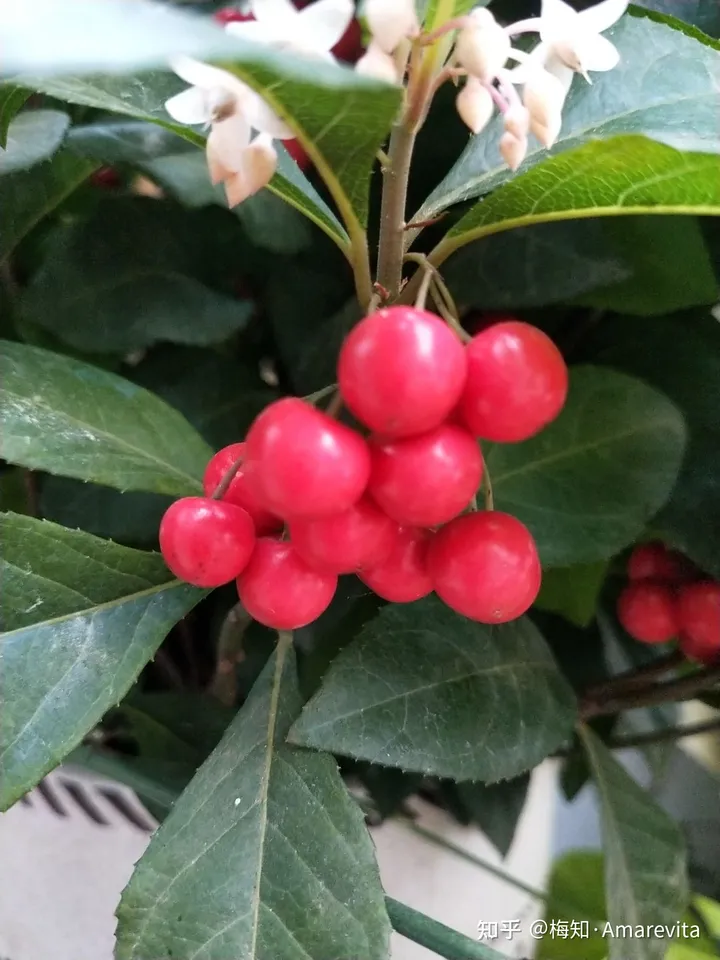 端午节：六月十四日，2021年，365日，一日七话题-6.14端午节放假