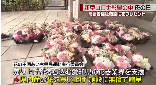 中国和日本的母亲节都是同一天……-中国和日本的传统节日