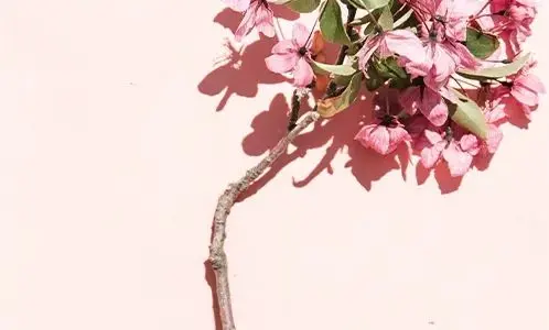 母亲节手抄报+素材大全，快为孩子收藏！（超级温馨的母亲节手抄报教程来了,送给可爱的妈妈们）