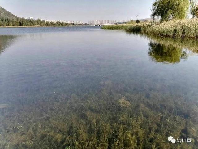 初游华山湖风景区-华山湖景区可以骑车进去吗