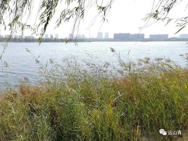 初游华山湖风景区-华山湖景区可以骑车进去吗