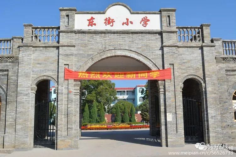 忻府区东街小学2020年植树节手抄报活动作品展（植树节手抄小报大全）