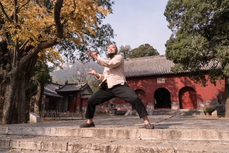 河南5日游跟团多少钱 少林寺 龙门石窟 白马寺 云台山 清明上河园-洛阳 少林寺 龙门石窟旅游团