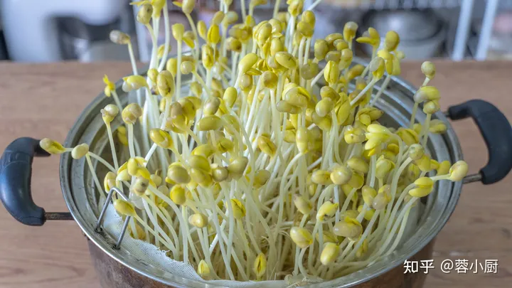 想吃豆芽不用买，教你在家自己做，做法简单靠谱，发芽快不腐烂（自己豆芽怎么发）