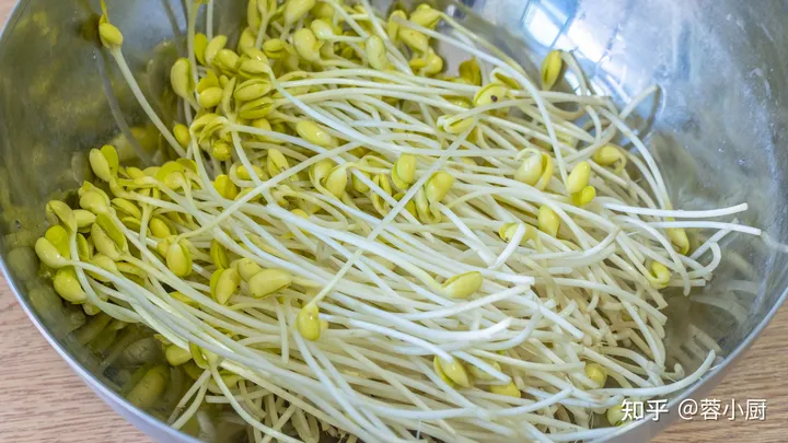 想吃豆芽不用买，教你在家自己做，做法简单靠谱，发芽快不腐烂（自己豆芽怎么发）