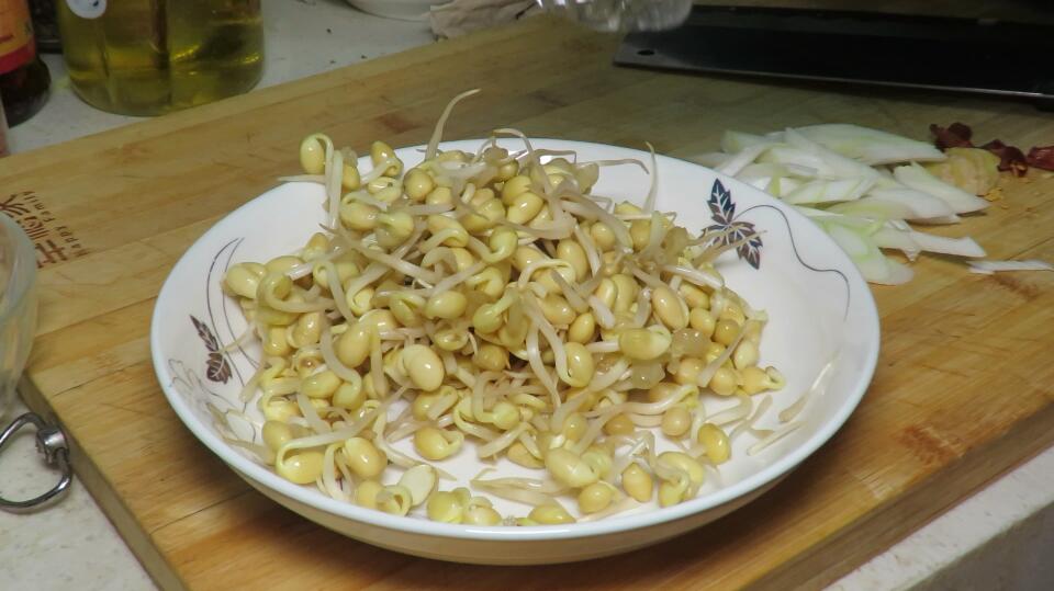 黄豆芽怎么做才好吃？5分钟就出锅，香辣美味，好吃到停不下来（黄豆芽怎么做好吃视频教程）