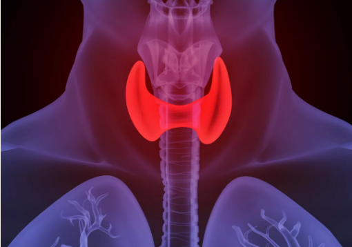 8mm甲状腺结节，中医治疗三个月结节消失了？-甲状腺结节7厘米中药