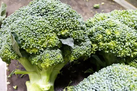 有甲状腺结节的人，不想结节快速增大，饮食上少吃“两绿一黄”-甲状腺结节注意饮食,能让它消失还是不长大?