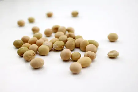 有甲状腺结节的人，不想结节快速增大，饮食上少吃“两绿一黄”-甲状腺结节注意饮食,能让它消失还是不长大?