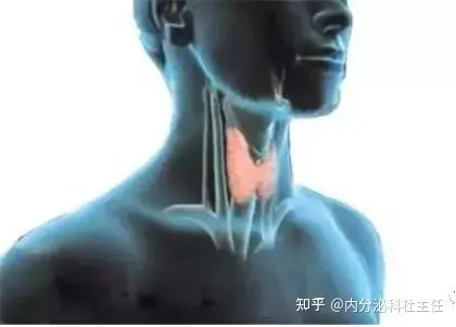 甲状腺有结节？老中医一张方子，疏肝理气，化痰散结，化解难题-甲状腺结节中医方剂