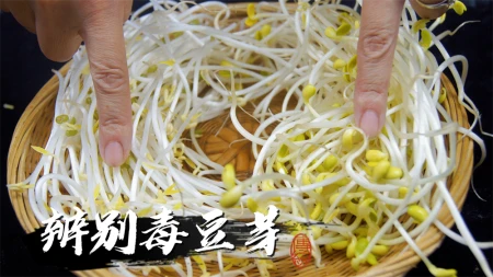 怎样才能买到健康好豆芽？菜农：教你3个方法，远离“毒”豆芽（如何买豆芽）