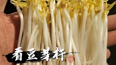怎样才能买到健康好豆芽？菜农：教你3个方法，远离“毒”豆芽（如何买豆芽）