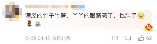 “丫丫”平安回到北京动物园，最新画面来了！网友：眼睛亮了，也胖啦~-丫丫平安回到北京动物园视频