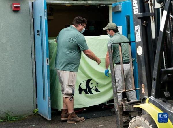 飞行近16小时，“丫丫”终于回家！饲养员全程监测她的状态，还准备了饼干-丫丫vlog