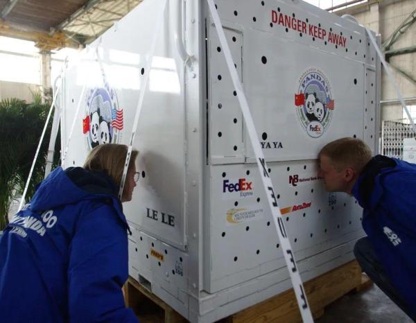 飞行近16小时，“丫丫”终于回家！饲养员全程监测她的状态，还准备了饼干-丫丫vlog