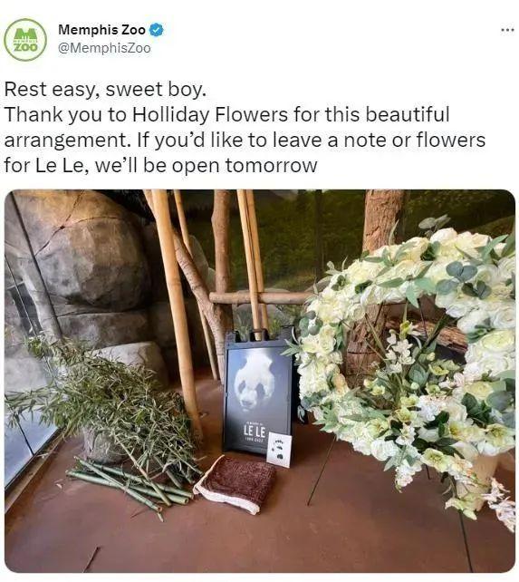 飞行近16小时，“丫丫”终于回家！饲养员全程监测她的状态，还准备了饼干-丫丫vlog