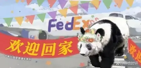 丫丫回国，究竟意味着什么？-丫丫乐乐回国后