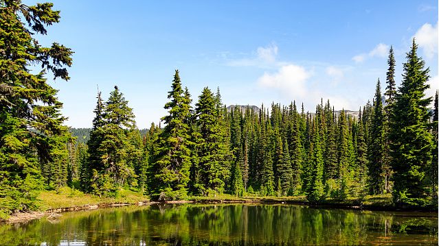 双子座，一个不简单的星座（双子座?）