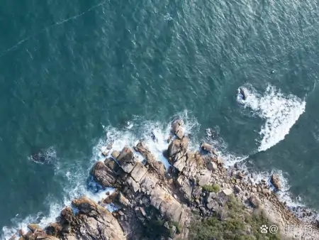 双子座的真假难辨，你了解他们吗？（双子座真实吗）