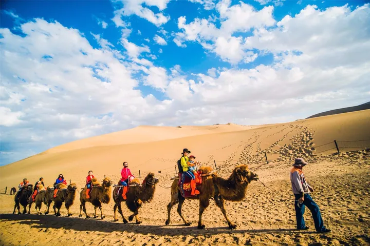 请善待它们，让它们死的痛快点（请善待它们用英语怎么说）