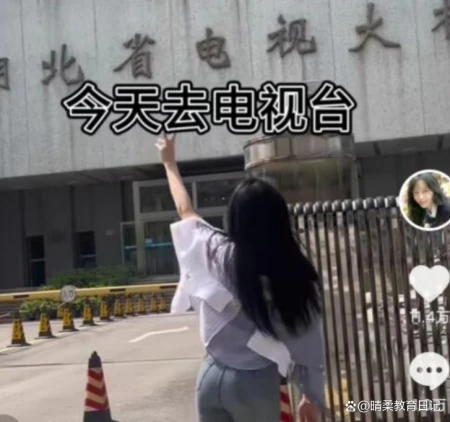 黄老师还在“挖呀挖”，桃子老师做法尽显格局，也许该火的是后者-黄磊多大