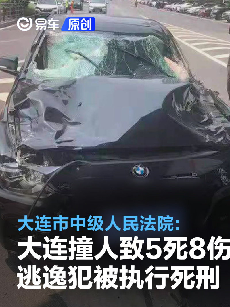 大连开宝马撞人致5死8伤逃逸案罪犯刘东被执行死刑（大连宝马开车撞人视频）
