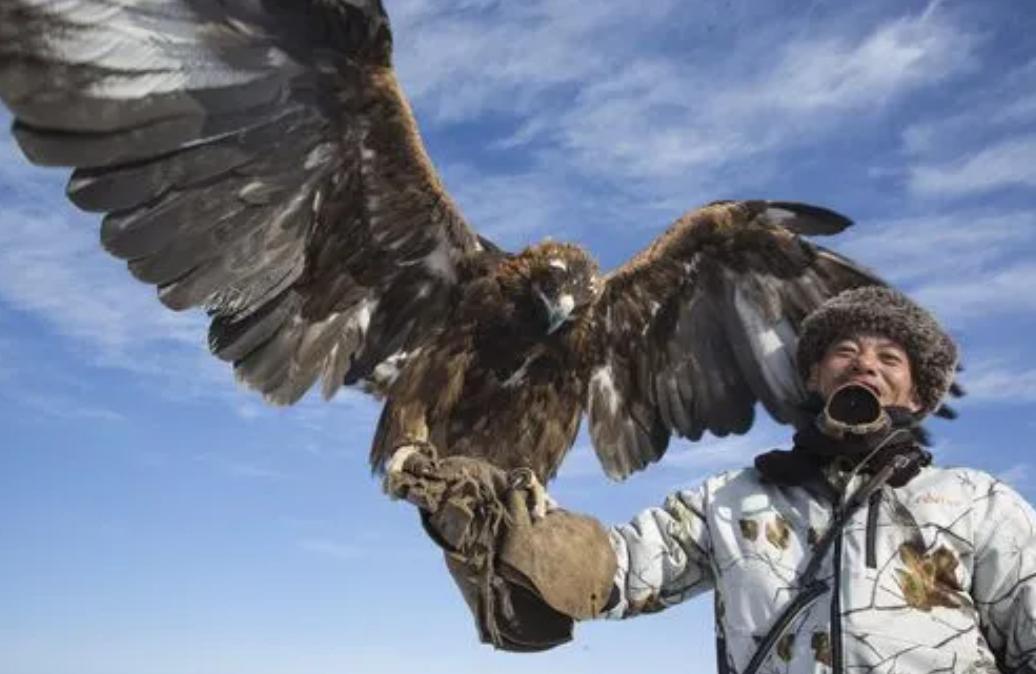 四川瓦屋山首次发现猛禽之王，是一级国保金雕，该称呼从何而来？（四川瓦屋山景区暂停开放）