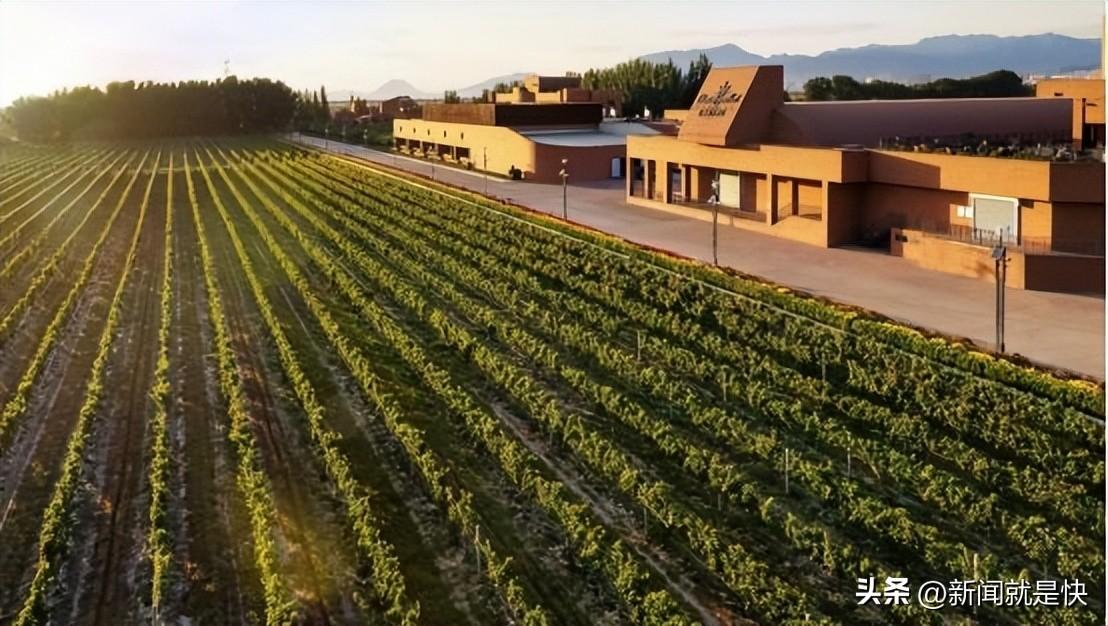 马克龙来华，对“它”一见倾心-马克龙接受采访