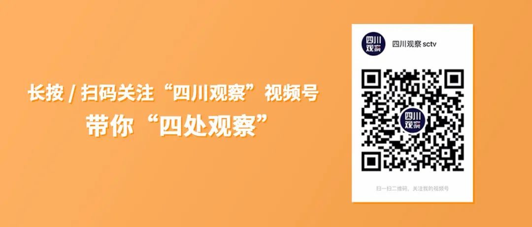 绝美！重大新发现，就在四川（四川发现了一种新物种）