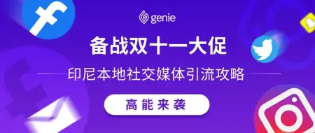 11.11大促跨境店铺如何引流？印尼本地社交媒体营销实用指南！-印尼电商渗透率高吗