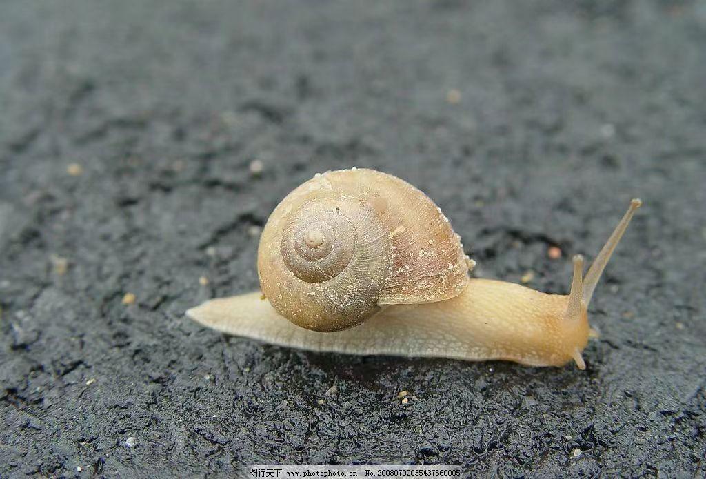 日本8336米深海发现怪鱼，一离水就“融化”，是核废水害的吗？（日本怪鱼视频）