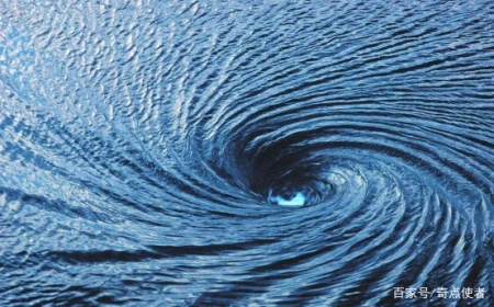 海底8000米处，有什么生物？研究者潜入深海，拍到它们真面目（海底8200米的深海巨兽）