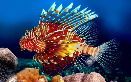世界上十大新物种之一，它身上有很多刺，酷像狮子，有狮子鱼之称（身上有刺的动物）