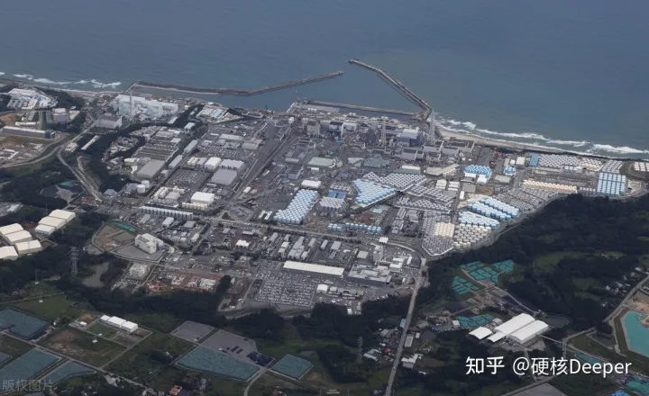 日本又拍到“新物种”，2米的怪鱼，是核辐射还是海底物种入侵？（海洋怪鱼核辐射）