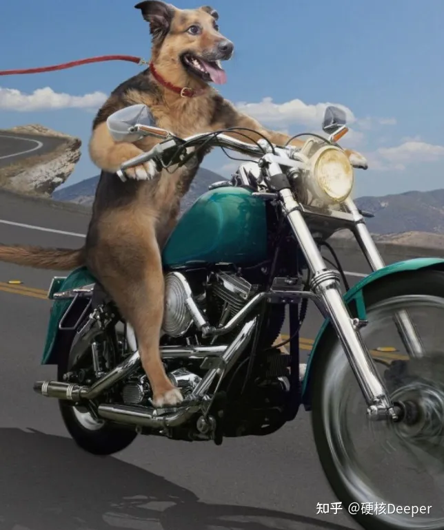 日本又拍到“新物种”，2米的怪鱼，是核辐射还是海底物种入侵？（海洋怪鱼核辐射）