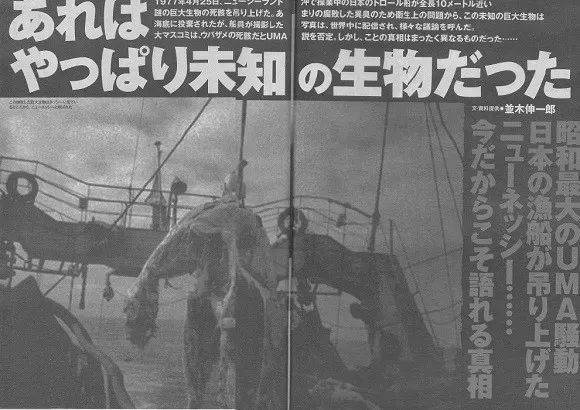 照片最清晰的未知生物，未解之谜真的无解吗？（ps导出什么最清晰）