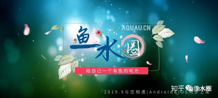 愿你没有“水滴鱼”这样的忧郁~（愿你没有白白受苦是什么歌）