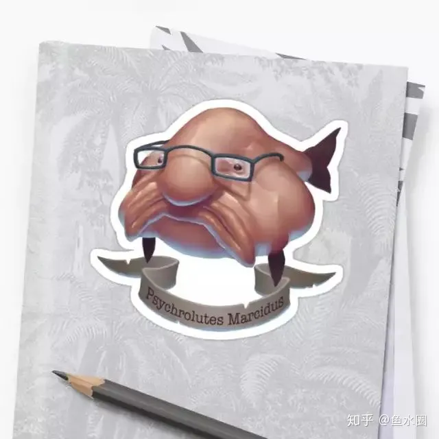 愿你没有“水滴鱼”这样的忧郁~（愿你没有白白受苦是什么歌）