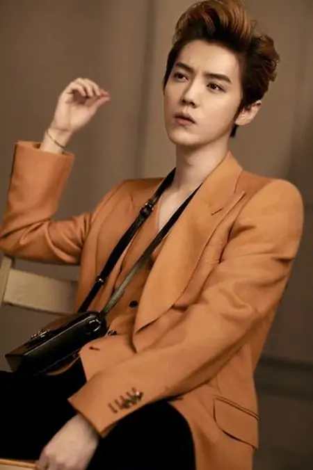 鹿晗演唱会开票了：轻松快乐的音乐派对-鹿晗演唱会13.4万人