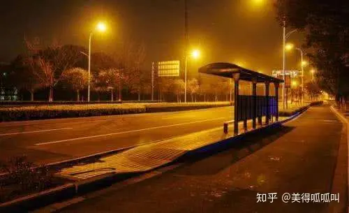 女大学生坐反公交车报警, 哭的稀里哗啦称快20了, 有人叫巨婴（女孩上学遭公交车碾压是什么节目）