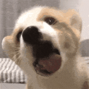 为什么大部分男生打开4399的时候总玩那种游戏？（玩4399什么意思）