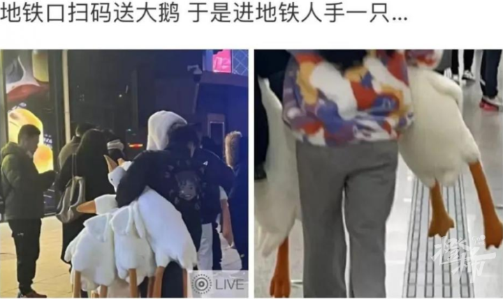 开养老金账户送大鹅，银行们真的很拼！-养老金发放用什么银行卡