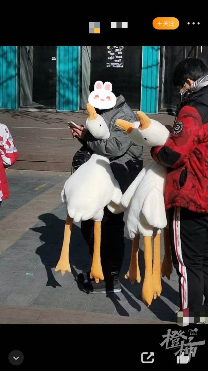 开养老金账户送大鹅，银行们真的很拼！-养老金发放用什么银行卡