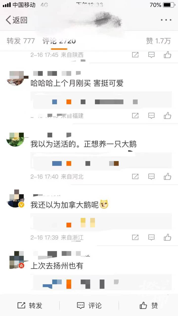 开养老金账户送大鹅，银行们真的很拼！-养老金发放用什么银行卡